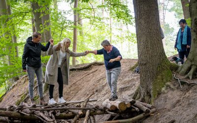 Ist Waldbaden alternativ?
