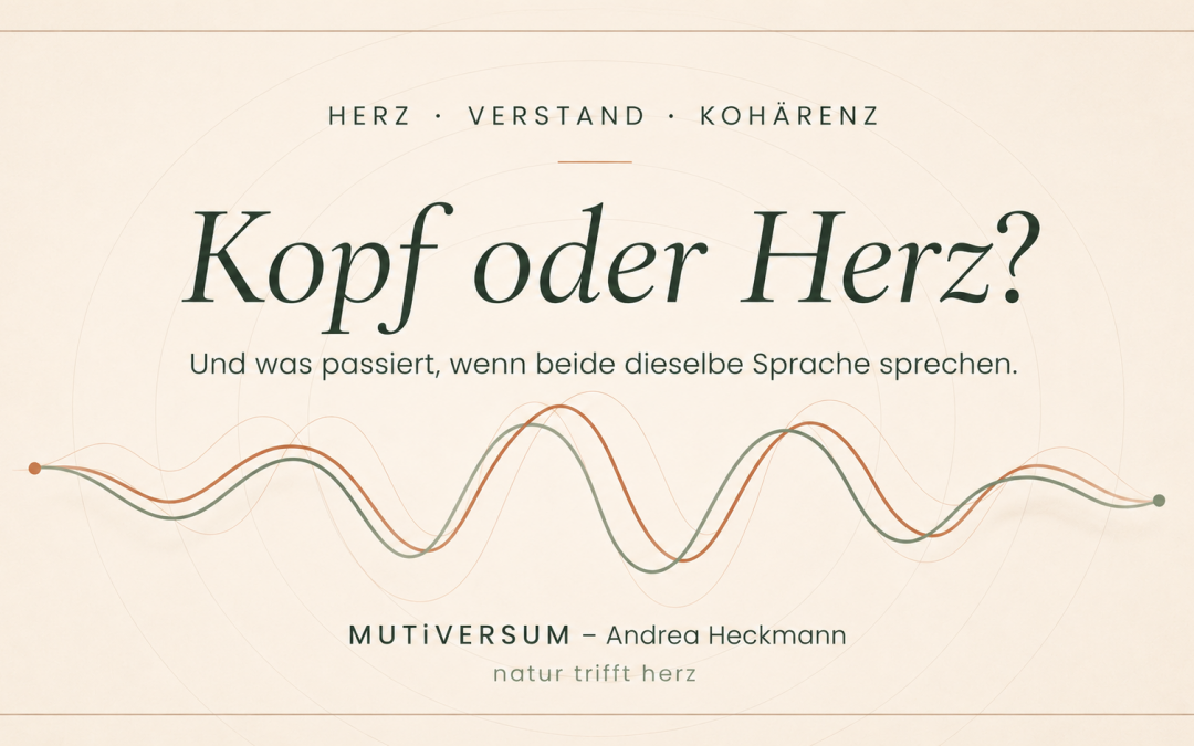 Kopf oder Herz – wem soll ich eigentlich vertrauen?